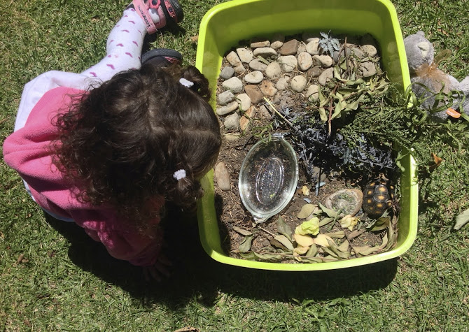Caminadores (18 meses – 3 años). Jardín Infantil Cosmos Montessori. Educación alternativa. Barrio Cedritos. Zona norte de Bogotá. Colombia. Educación para niños y niñas.